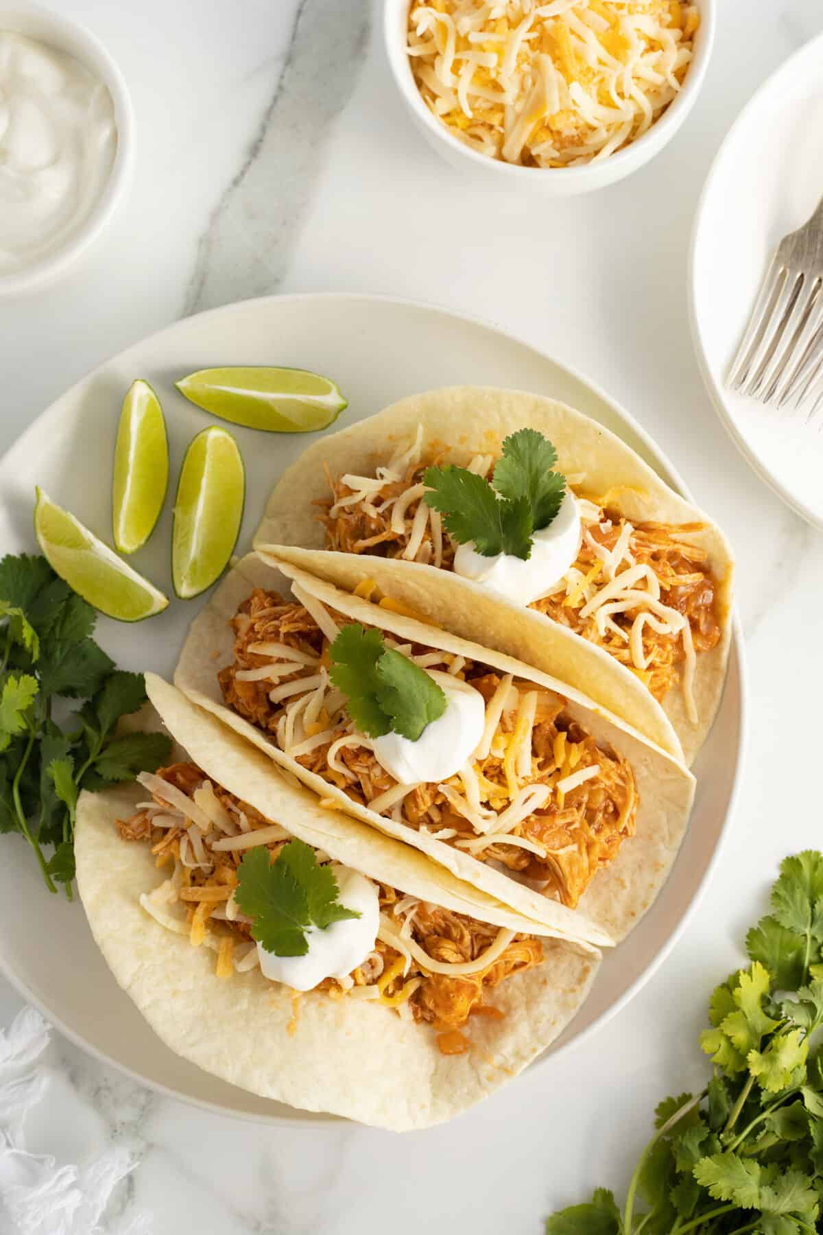 crockpot chicken fajitas on a white plate looking from above
