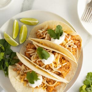 crockpot chicken fajitas on a white plate looking from above