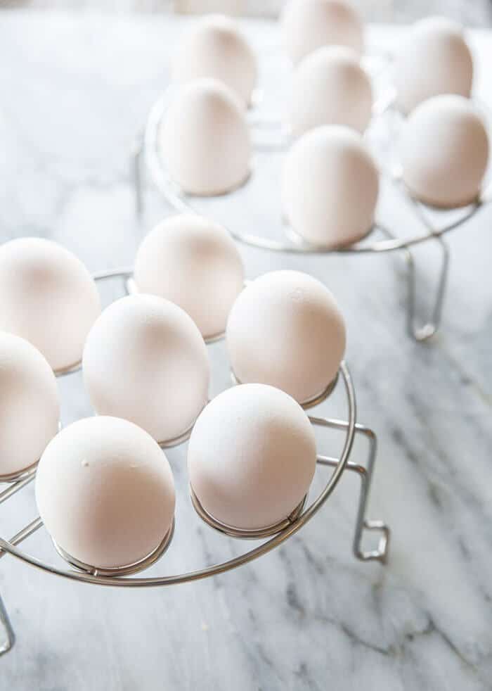 brand new egg racks with fresh eggs