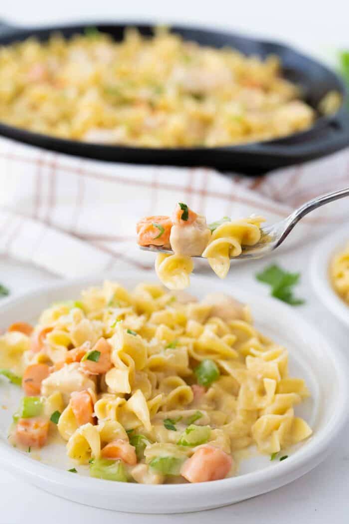Close up Chicken and Noodles with vegetables in a white plate