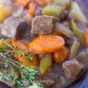 close up Beef Stew with Red Wine with fresh thyme