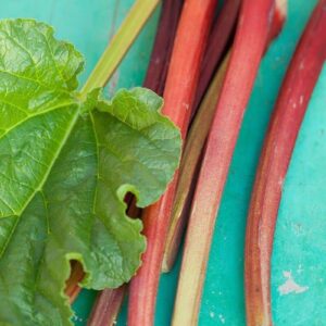 cut rhubarb stalks on a turquoise wooden board