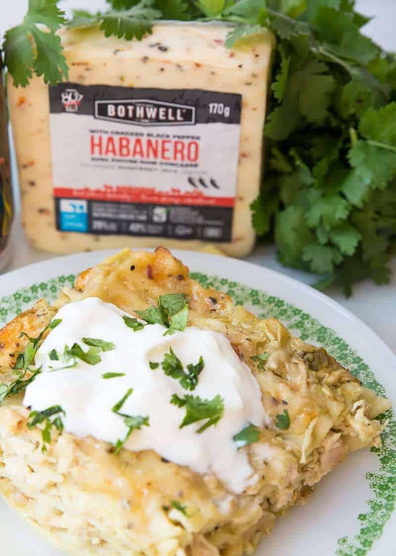 Cheesy Green Chile Chicken Lasagna topped with sour cream and cilantro, Bothwell brand cheese and fresh cilantro on background