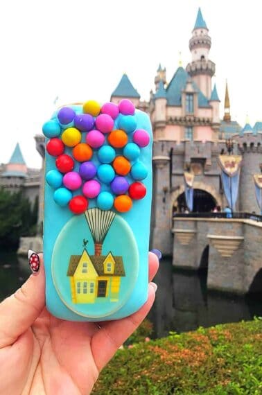 Blue UP Doughnut in Disneyland that looks like a phone case