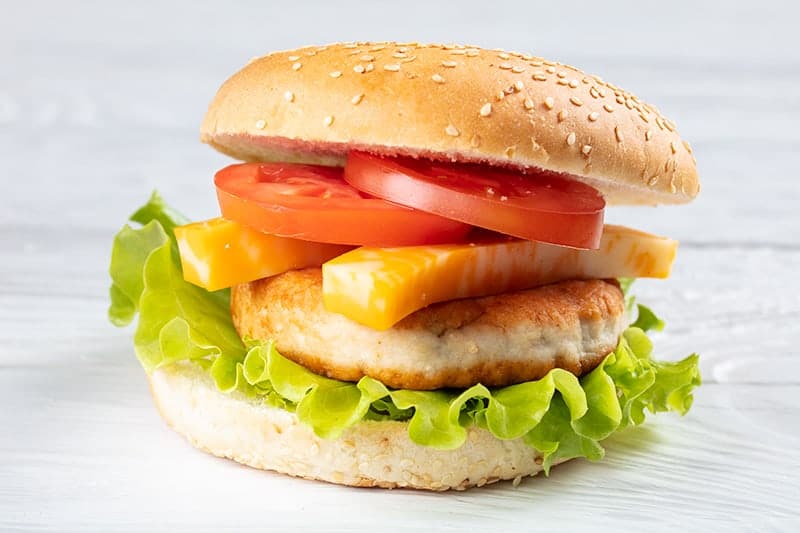 Turkey Burger with slices of tomatoes and cheese