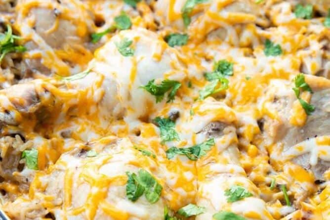 Chicken & Rice Casserole with melted sprinkled cheese on top