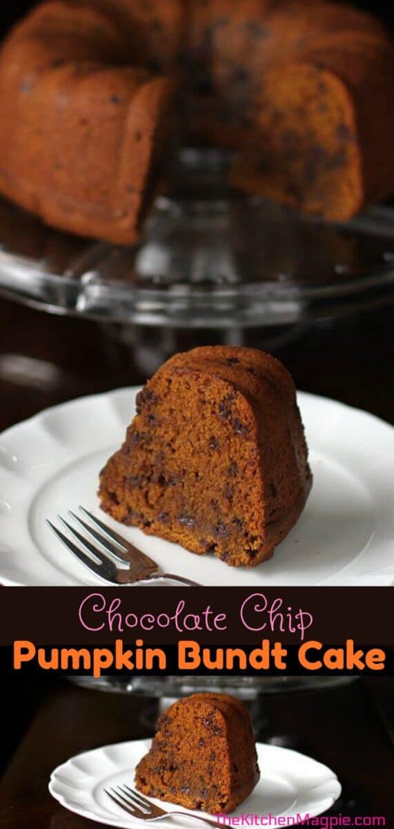 This chocolate chip pumpkin bundt cake is a favorite chocolate pumpkin recipe. It's so rich, dense and chock full of pumpkin chocolate bliss. #pumpkin #bundt #cake #chocolate