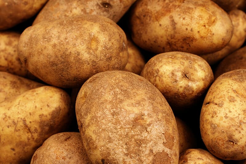 close up of raw Russet Potatoes 