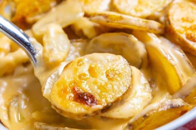 close up of Creamy Cheesy Scalloped Potatoes in a casserole dish