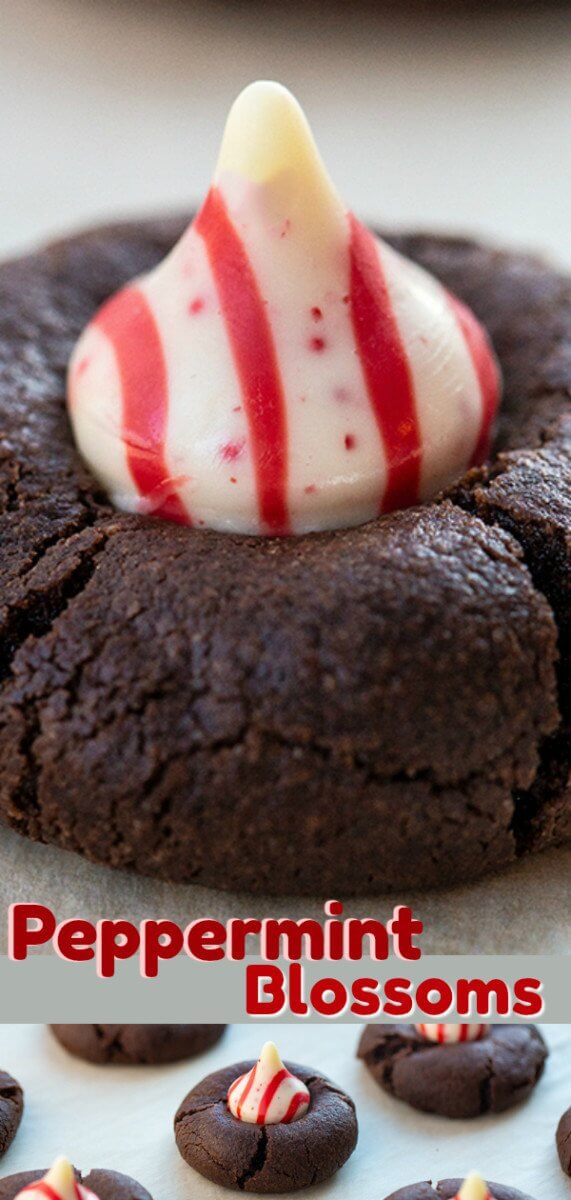 Peppermint Kiss Chocolate Cookies, perfect chewy, fudgy chocolate cookies that are topped with a white chocolate peppermint kiss after baking. #blossoms #peppermint #chocolate