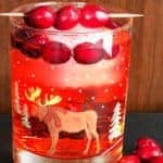 cranberry rum ginger ale - 1