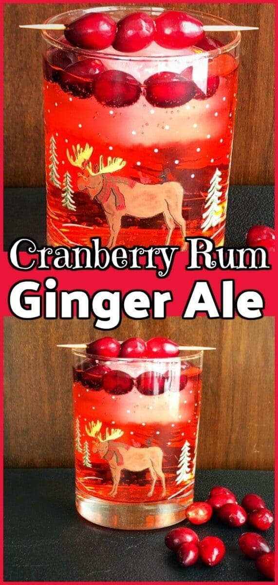 This deliicous Cranberry Rum Ginger Ale is an Excellent #Cocktail / #Mocktail for the holidays! #christmas #holidays #xmas #cocktails #drink