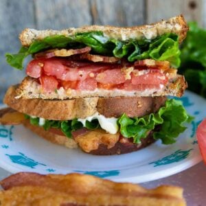 close up Classic BLT Sandwich in a white plate