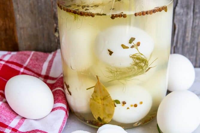 Easy Refrigerator Pickled Eggs No Canning The Kitchen Magpie