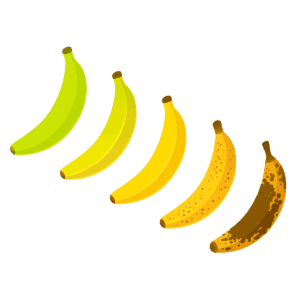 banana ripening chart