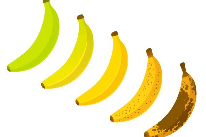 banana ripening chart