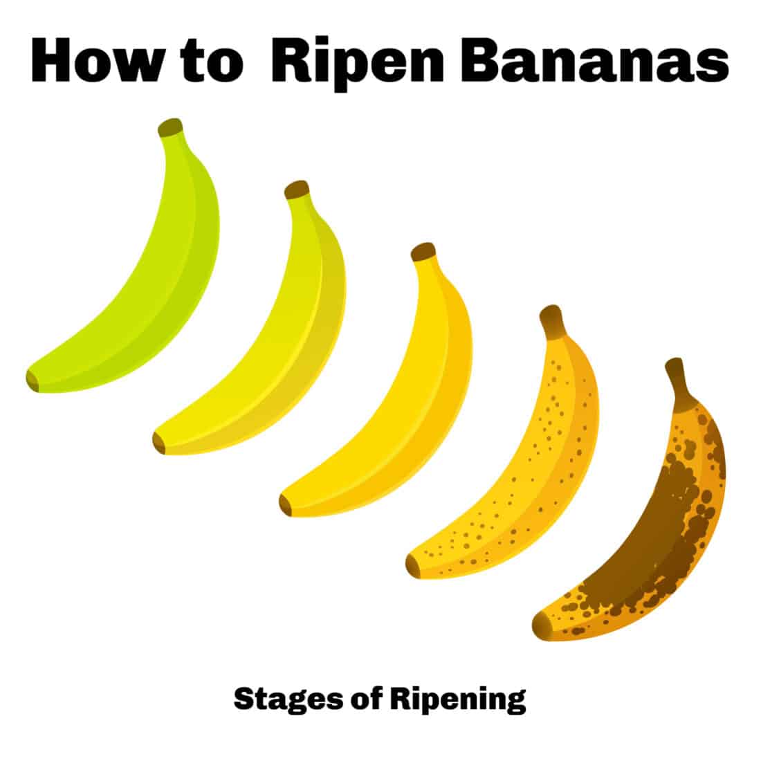 How To Ripen Bananas The Kitchen Magpie how-to-ripen-bananas-the-kitchen-magpie