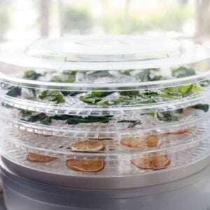 close up food dehydrator with some vegetable leaves and fruit slices inside
