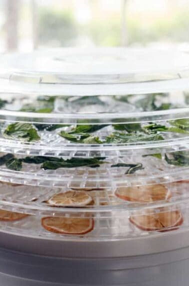 close up food dehydrator with some vegetable leaves and fruit slices inside