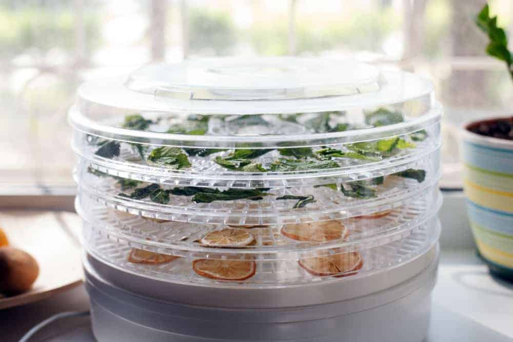food dehydrator with some vegetable leaves and fruit slices inside