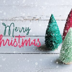 Merry Christmas greetings on a snowy white wood background with little Christmas trees on side