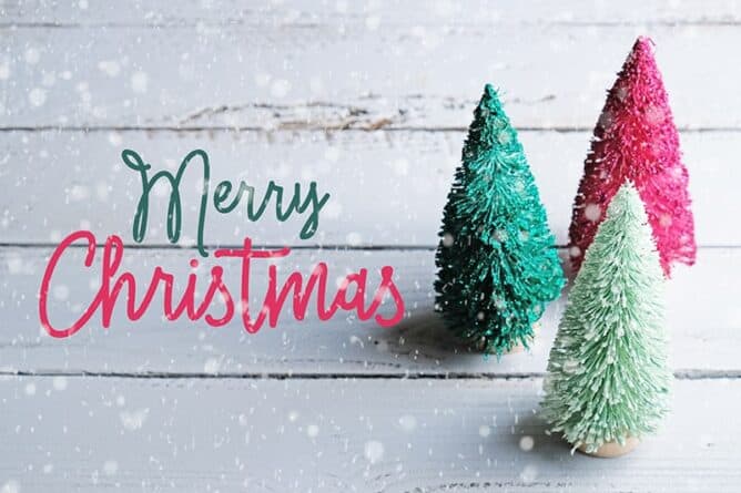Merry Christmas greetings on a snowy white wood background with little Christmas trees on side