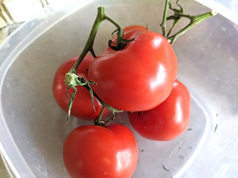 four pieces fresh red tomatoes on a plastic container