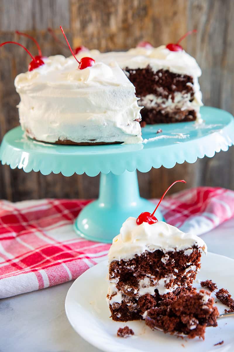 chocolate soda cake on a turquoise cake stand with a plate of chocolate cake below it on a red striped kitchen towel 