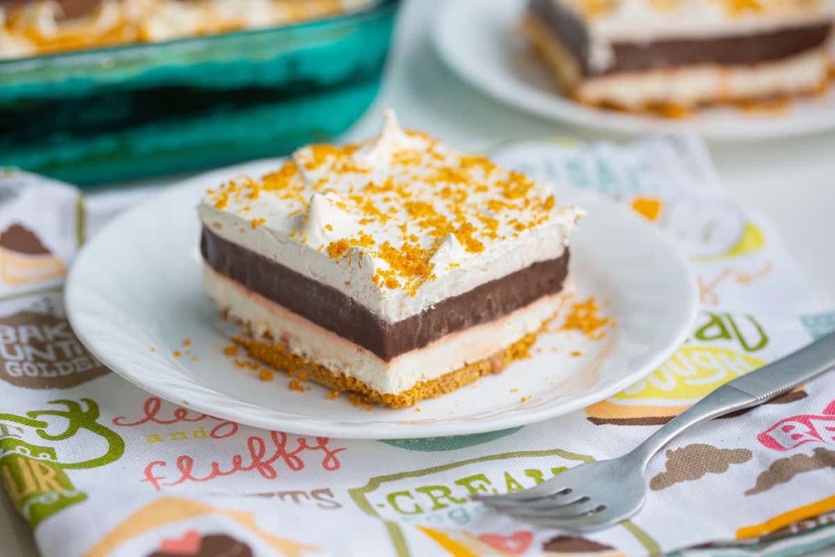 slice of choolate delight on a white plate