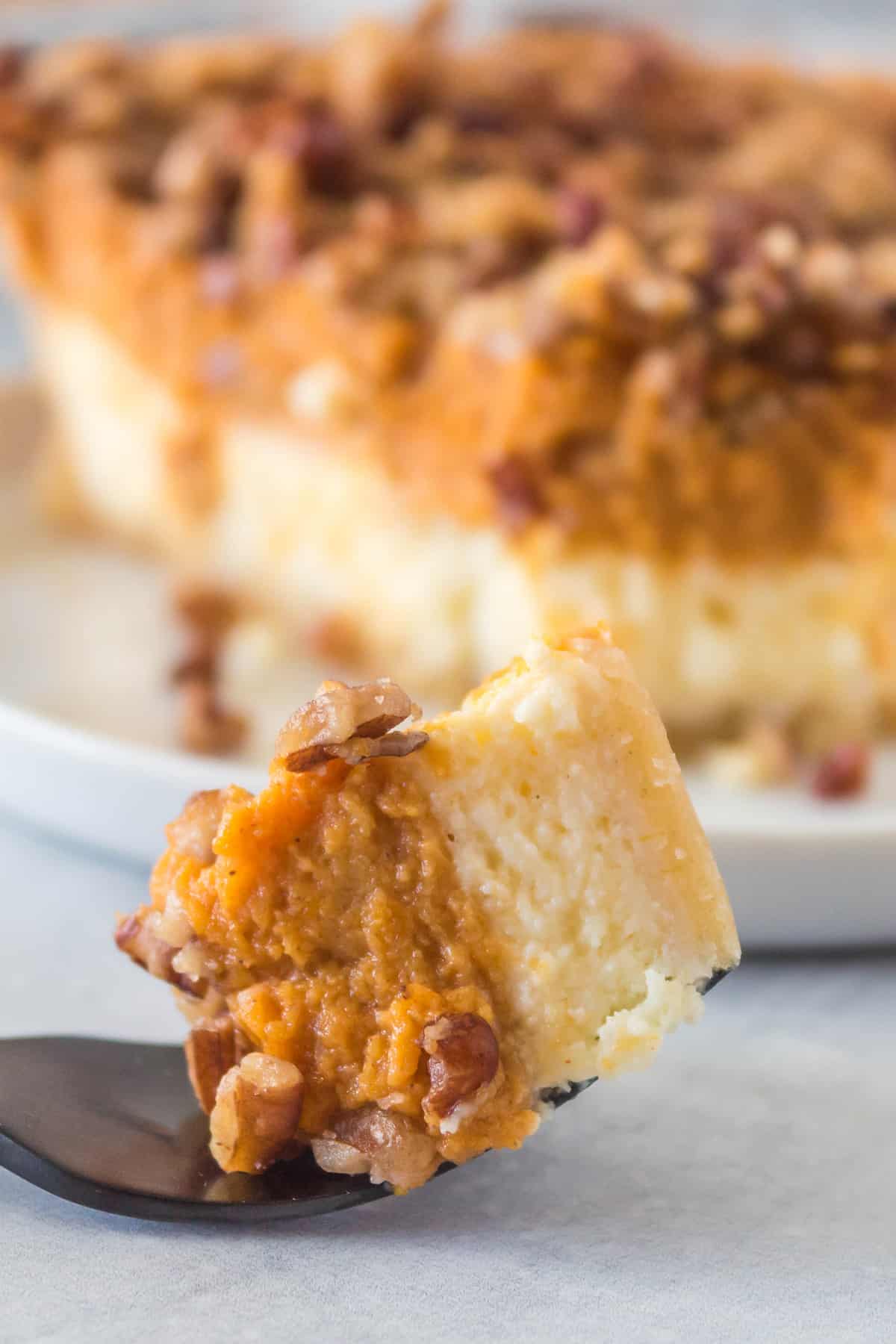 close up of Pumpkin Cheesecake Pie in a spoon