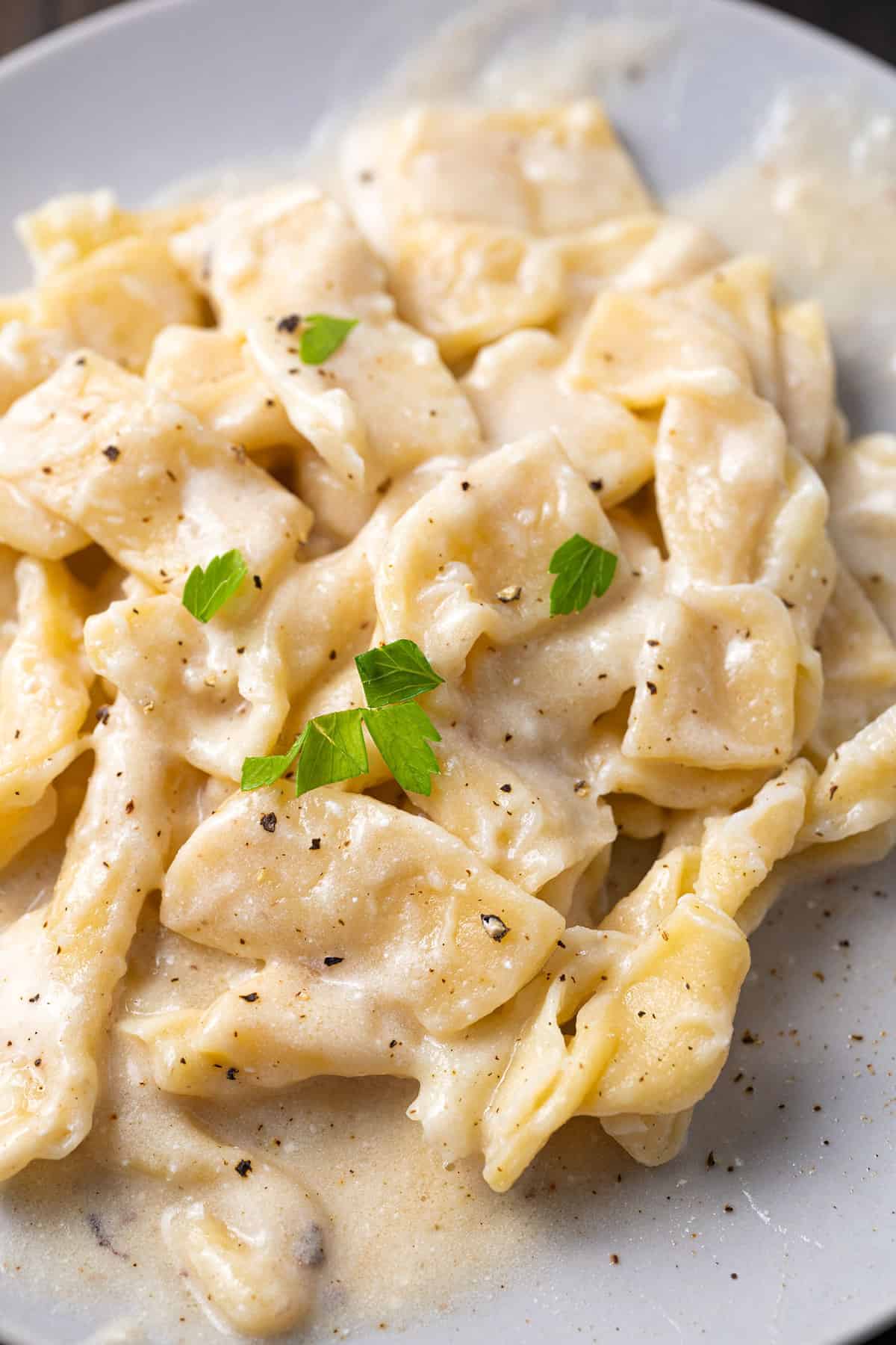cooked egg noodles with cream sauce