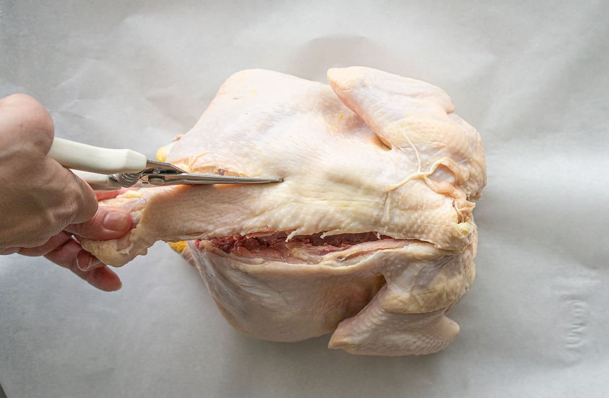 An upside down chicken, its spine half cut and the second half beginning to be cut by scissors.