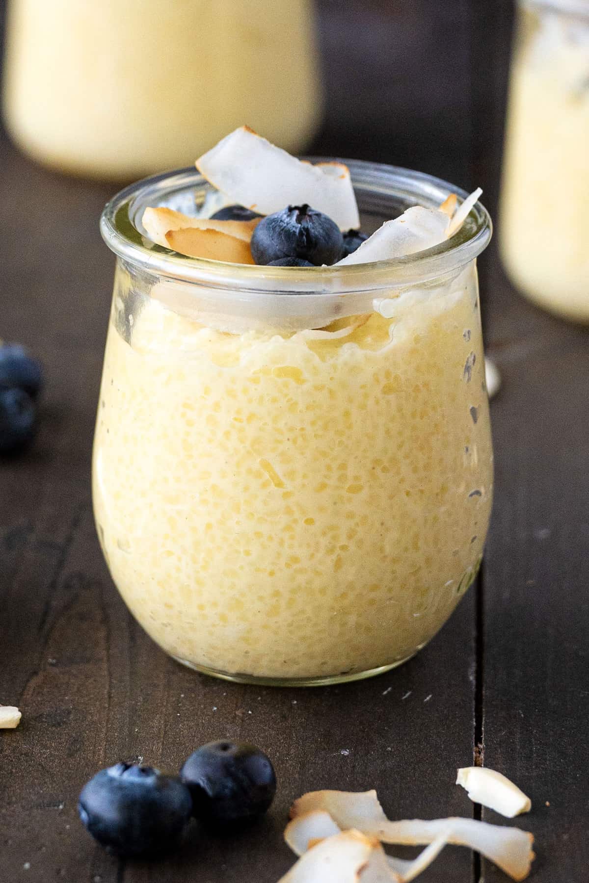 tapioca pudding with fresh blueberries and coconut on top