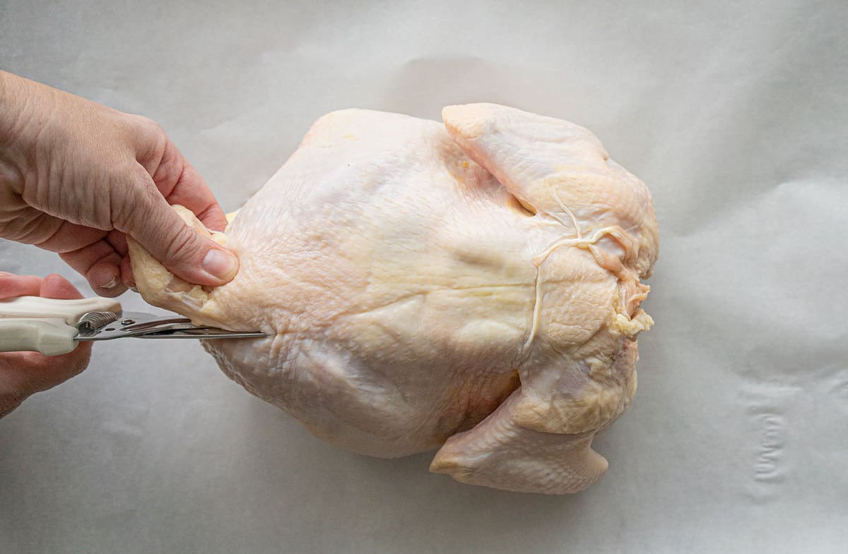 A chicken upside down, with a pair of hands gripping the rump and beginning to cut along its spine.