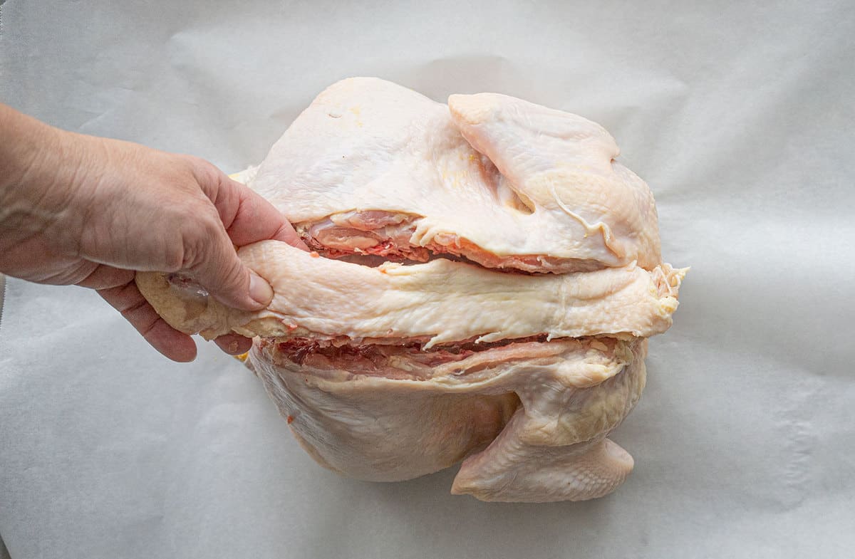 A chicken's spine being removed from the carcass of a spatchcocked chicken.