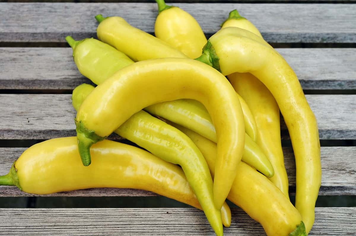 A cluster of banana peppers on the wooden slats of a table.