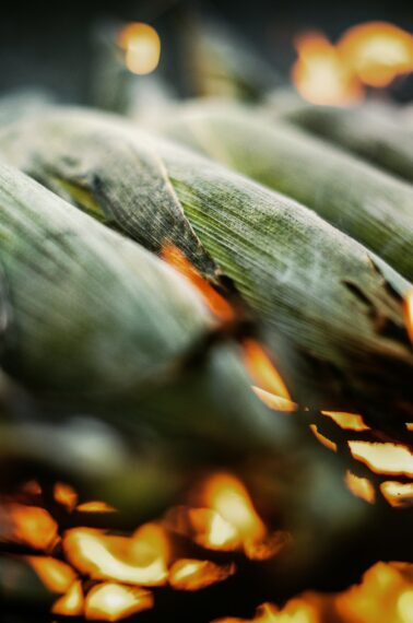 Several ears of corn, still in their husks, are being roasted over an open flame on a grill, with fire and charred husks visible.