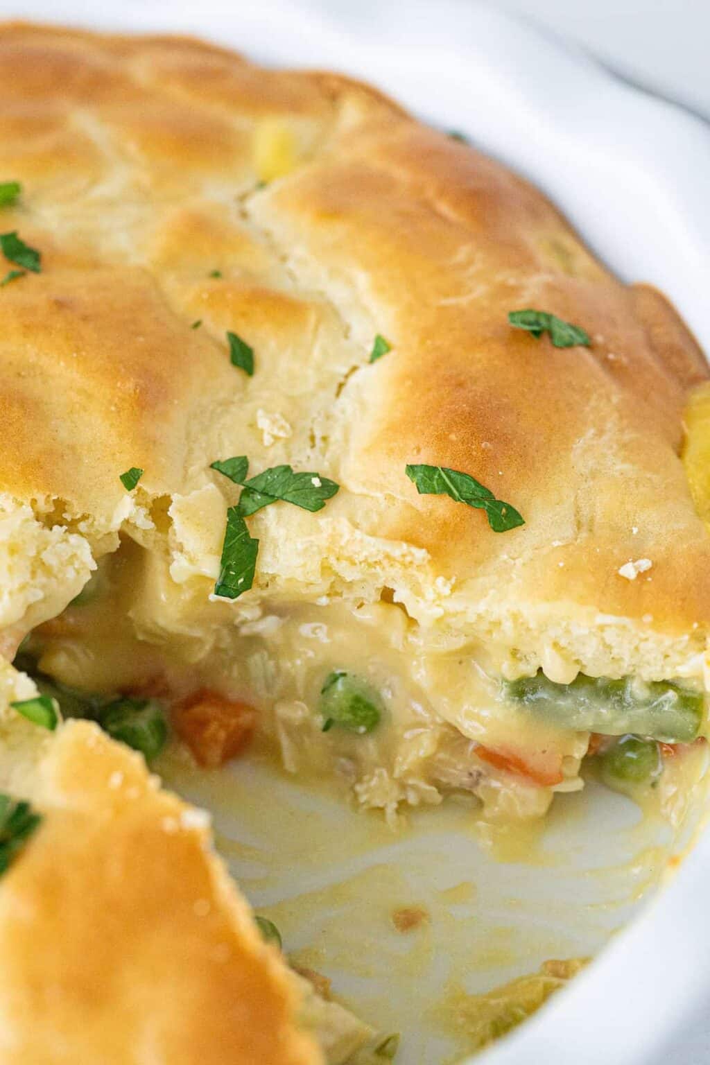 classic-bisquick-chicken-pot-pie-the-kitchen-magpie