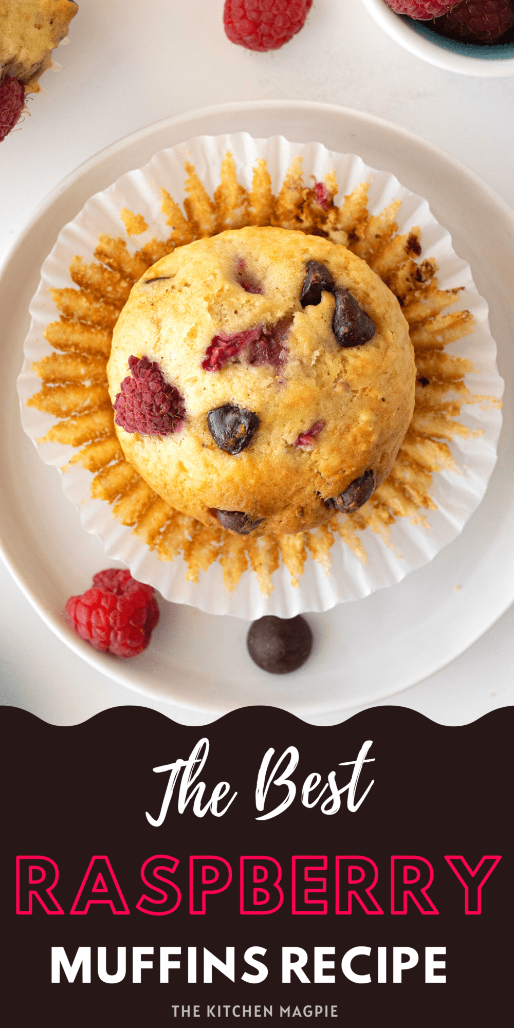 These raspberry muffins are an easy and delicious way to use up your summertime berry bounty! Add chocolate chips for a decadent treat! 