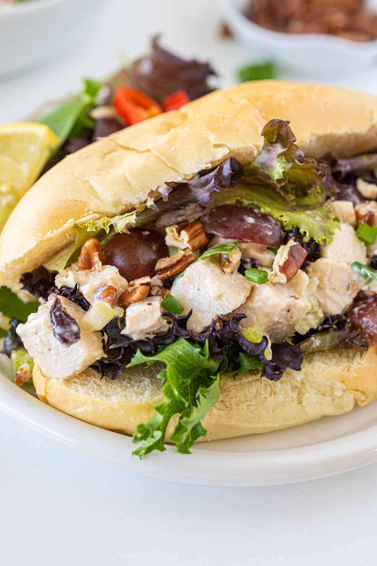 turkey salad sandwich on a white plate