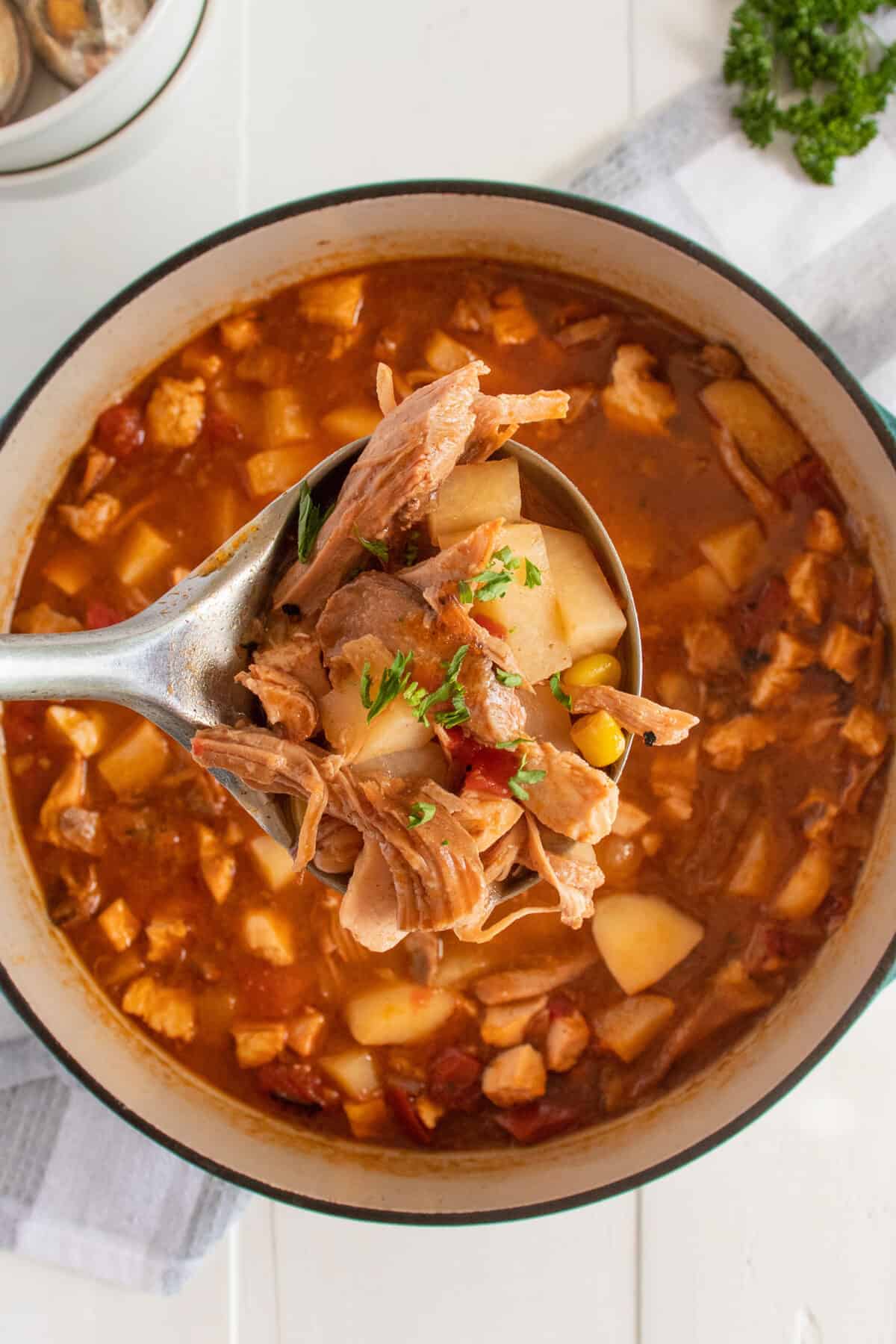 Brunswick stew in a ladle