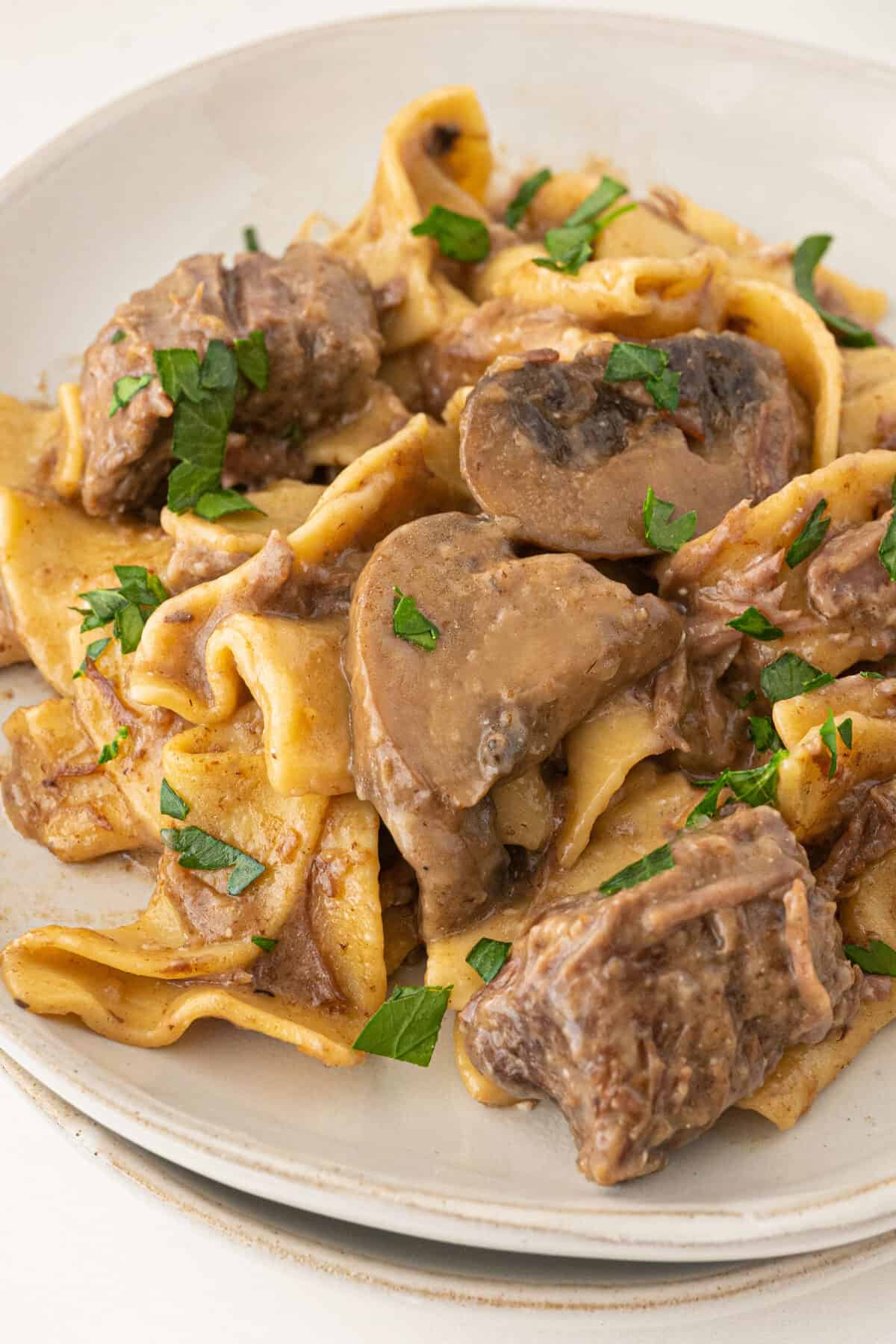 close up shot of beef stroganoff on a white plate 