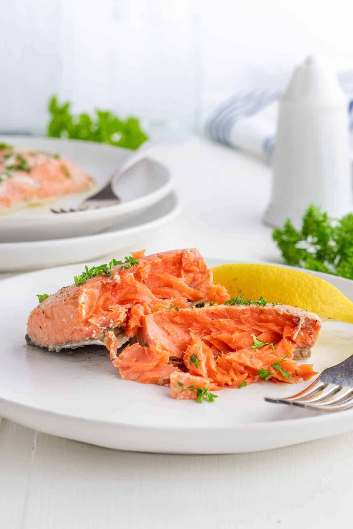 salmon fillet shredded with a fork