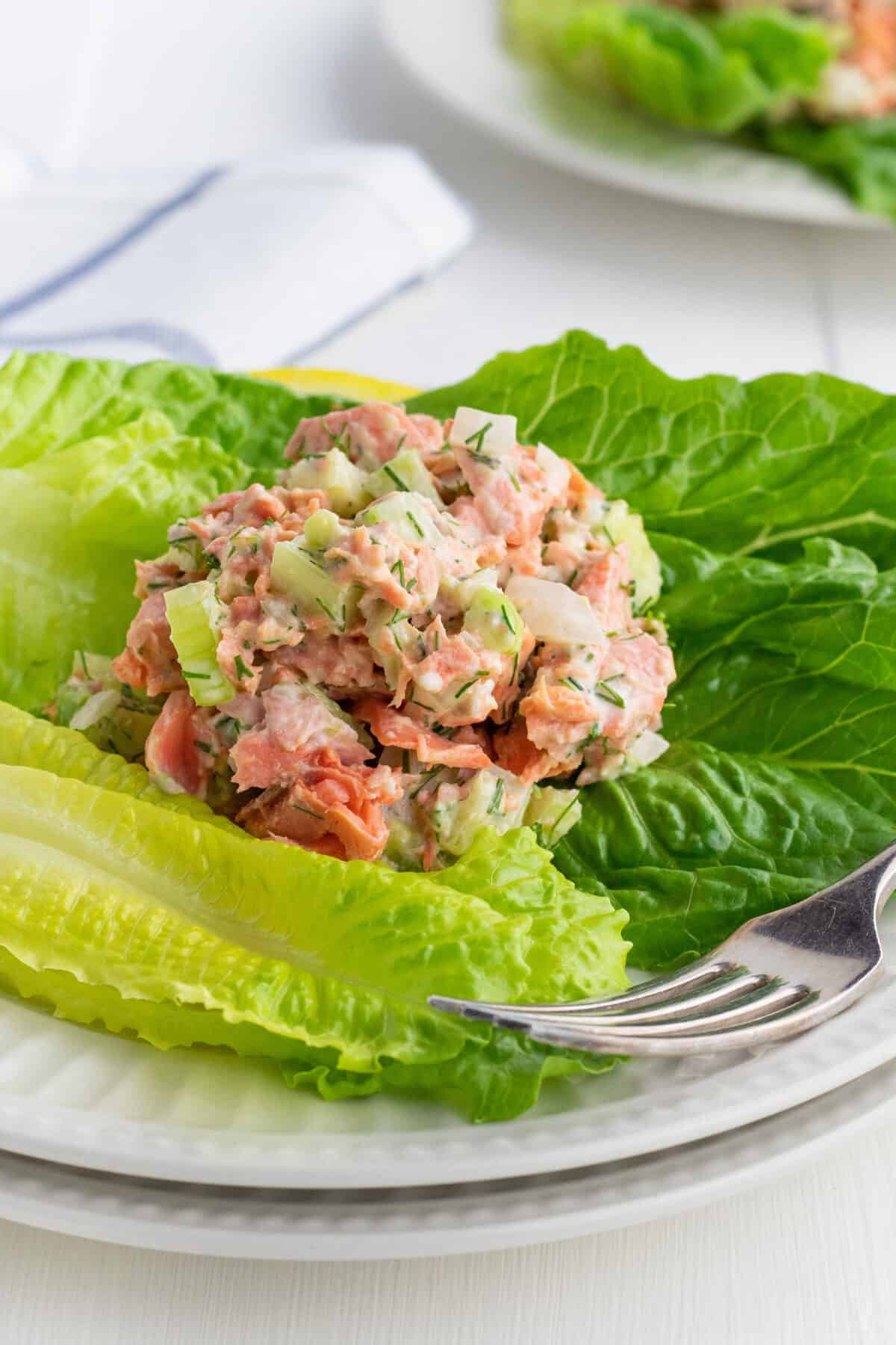 salmon salad on a bed of lettuce with a fork