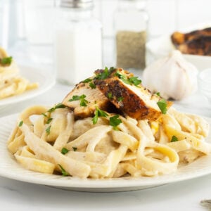 Chicken alfredo noodles with chicken on top