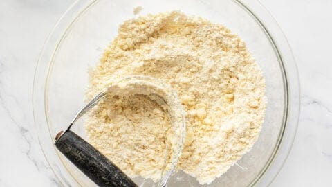 Pie crust dry mix with pastry blender in bowl