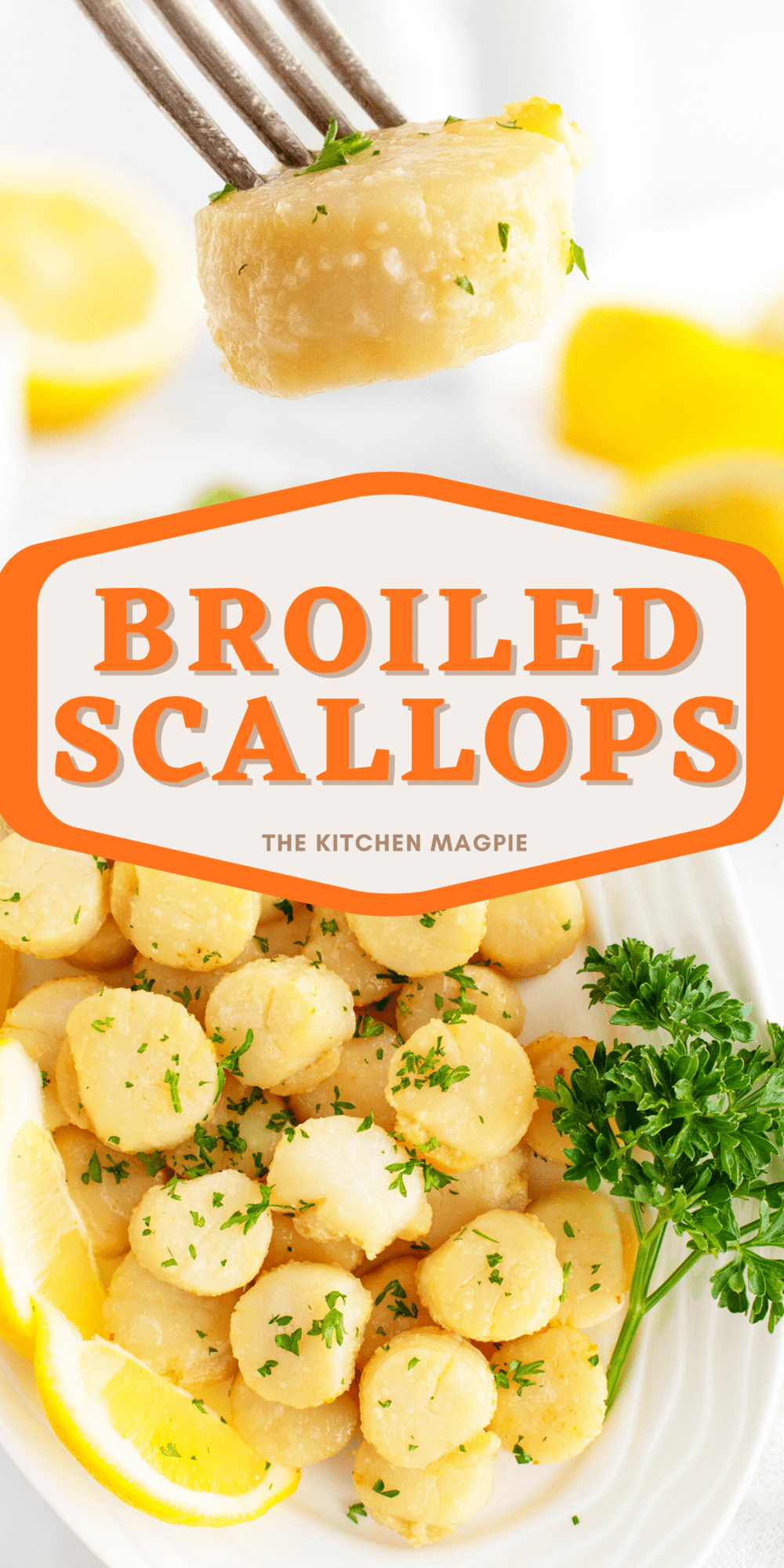 Cooking scallops doesn’t have to be frightening – you can easily make scallops at home with this recipe in your oven!