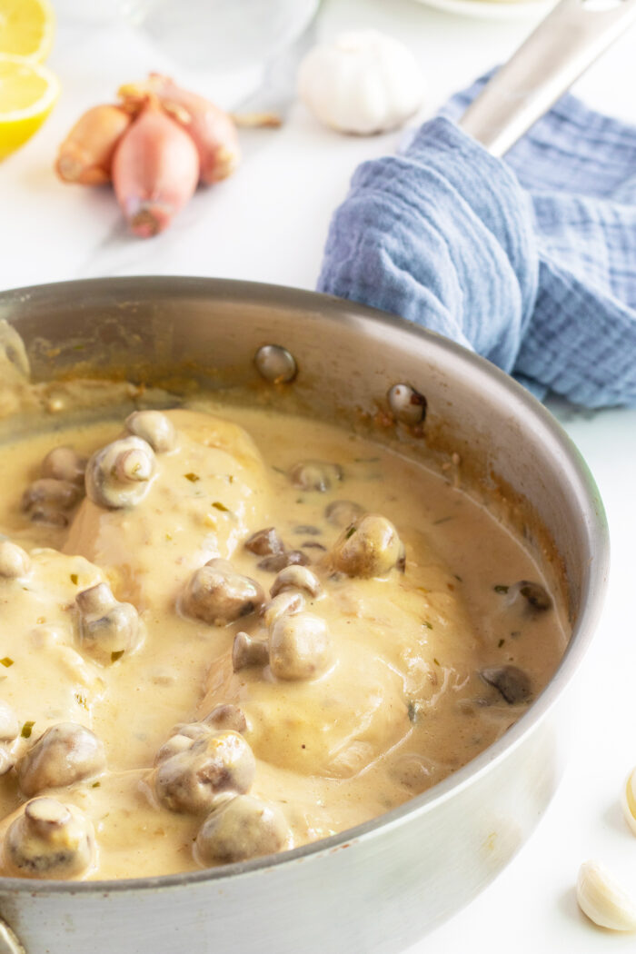 Creamy mushroom Tarragon chicken in pan with sauce and mushrooms