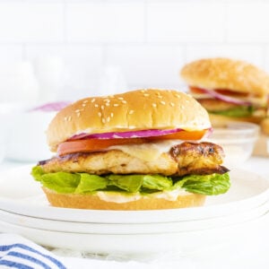 grilled chicken sandwich on a white plate