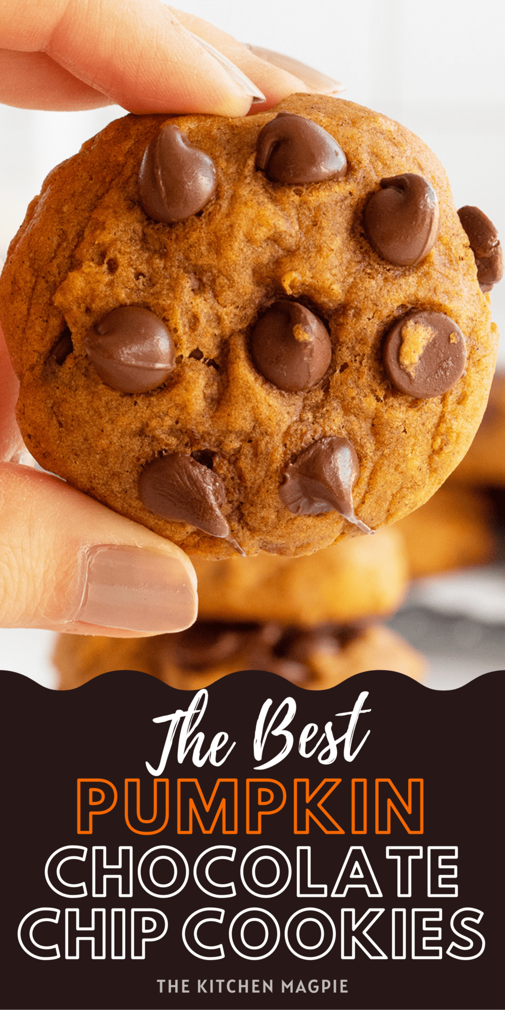 Why not combine pumpkin and chocolate chips into one immensely tasty cookie using this recipe for pumpkin chocolate chip cookies?